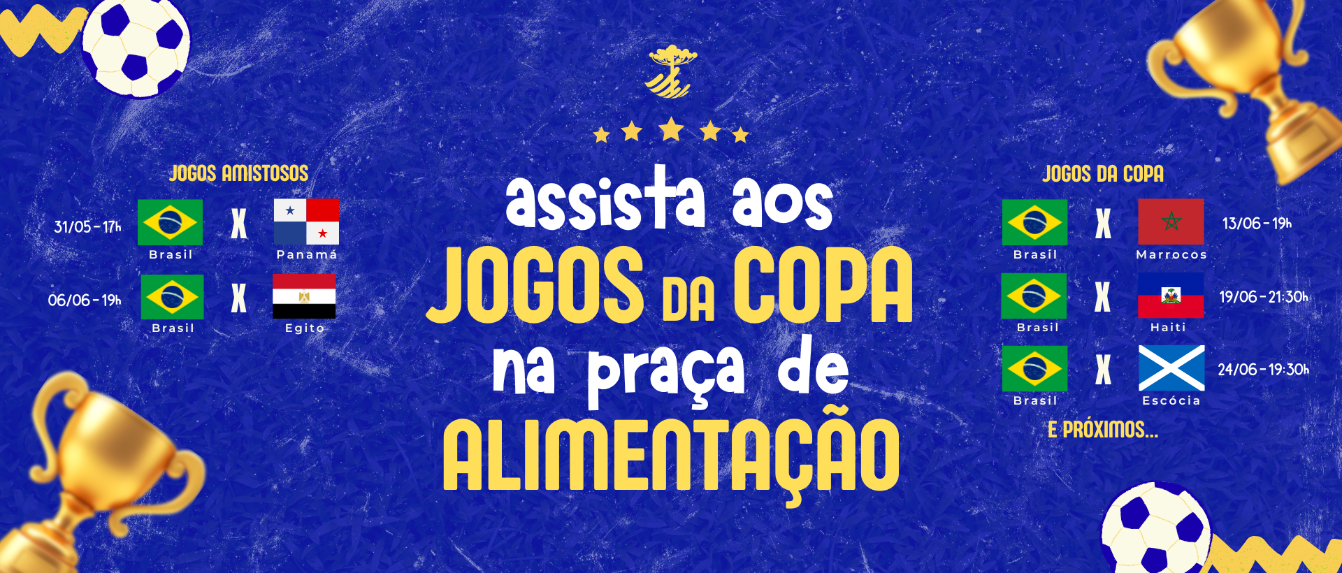 Copa Banner Site